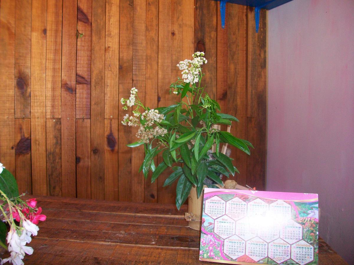 Asso Villa Belle Mare Luaran gambar